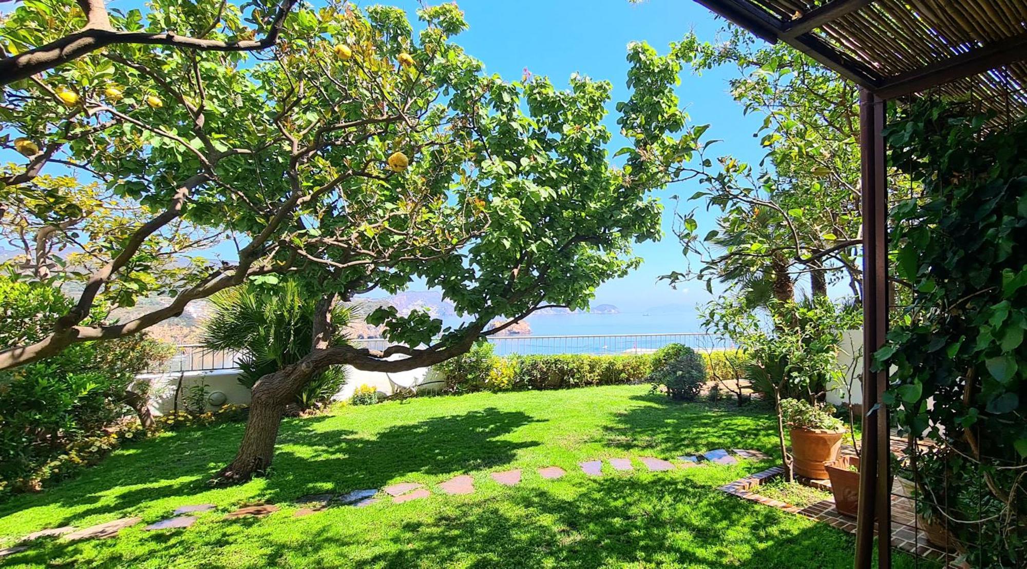La Limonaia A Mare Ξενοδοχείο Πόντσα Εξωτερικό φωτογραφία