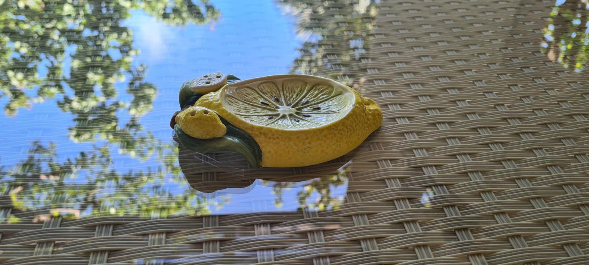 La Limonaia A Mare Ξενοδοχείο Πόντσα Εξωτερικό φωτογραφία